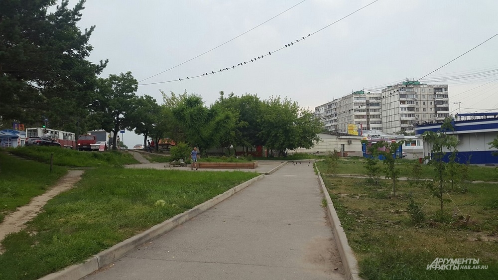 Унылую территорию обещают превратить в островок для приятного отдыха